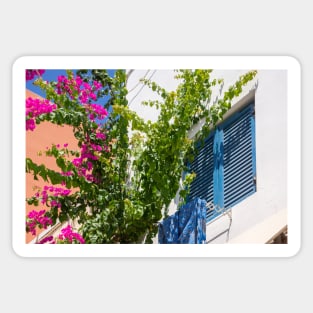 Pink bougainvillea climber and blue shutters in Greece. Sticker
